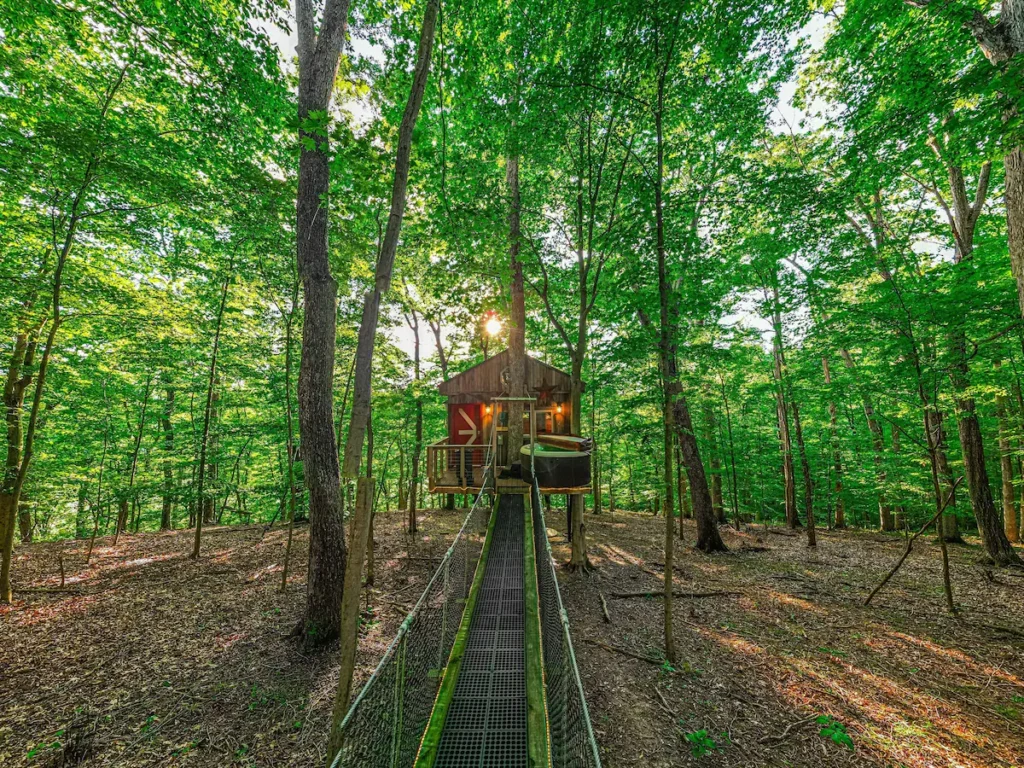 Among the Trees - The Clubhouse - Ohio Logan